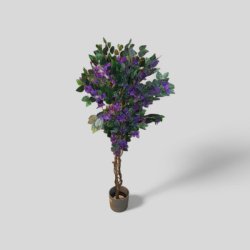 Tekokasvi – Bougainvillea, värikäs ja huoltovapaa koristekasvi